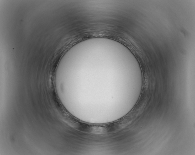 X0000111360169200907101004