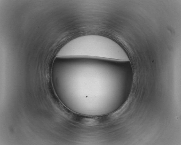 X0000111360170200907101004