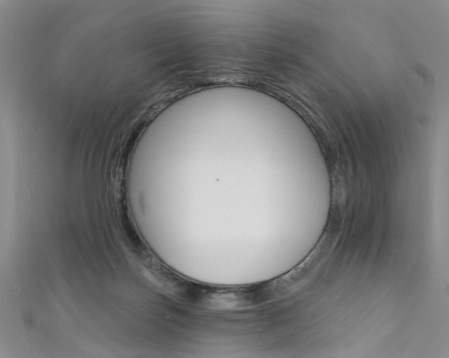 X0000111360171200907101004