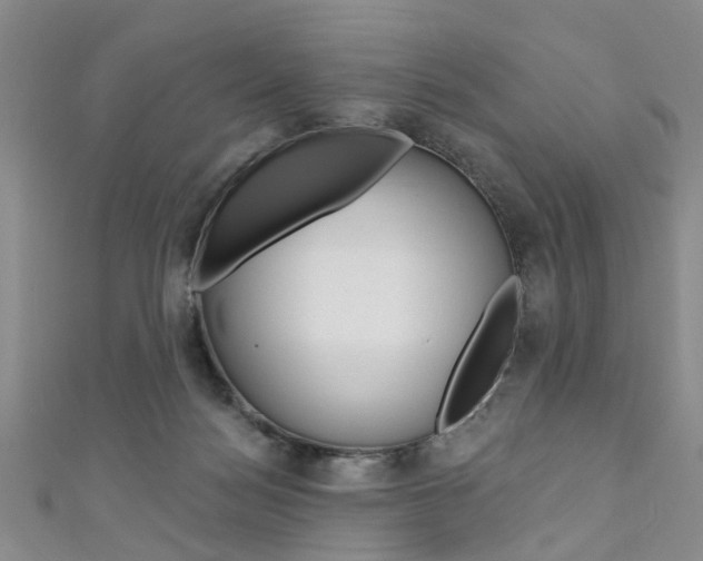 X0000111360172200907101004