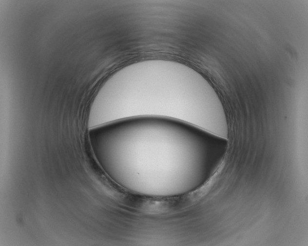 X0000111360174200907101004