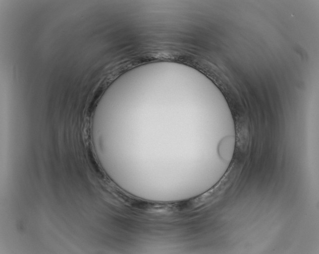 X0000111360175200907101004
