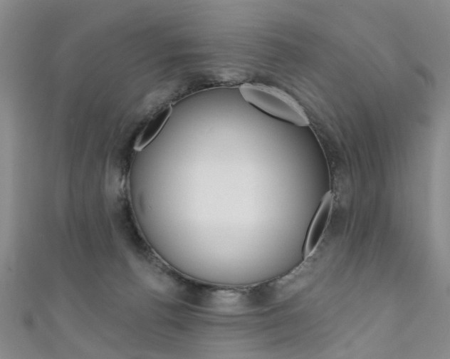 X0000111360176200907101004