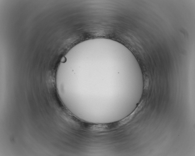 X0000111360179200907101004