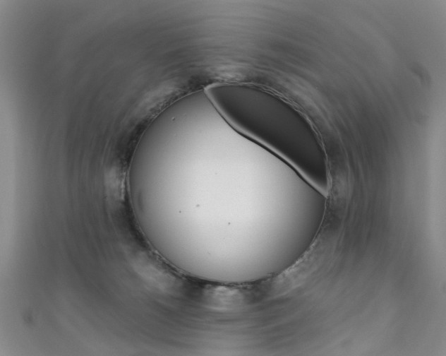 X0000111360180200907101004