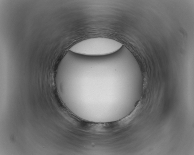 X0000111360182200907101004