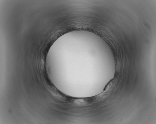 X0000111360183200907101004