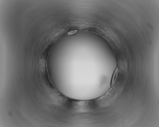 X0000111360184200907101004