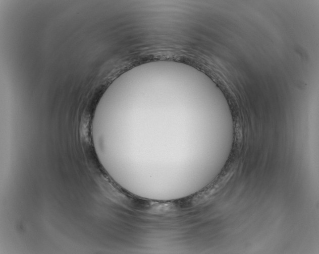 X0000111360185200907101004