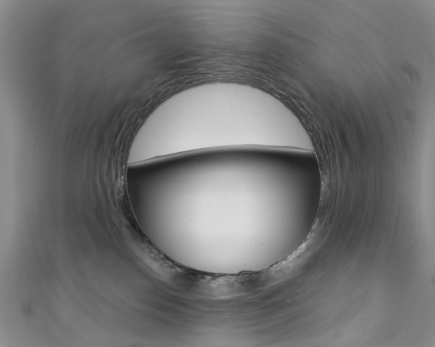 X0000111360186200907101004