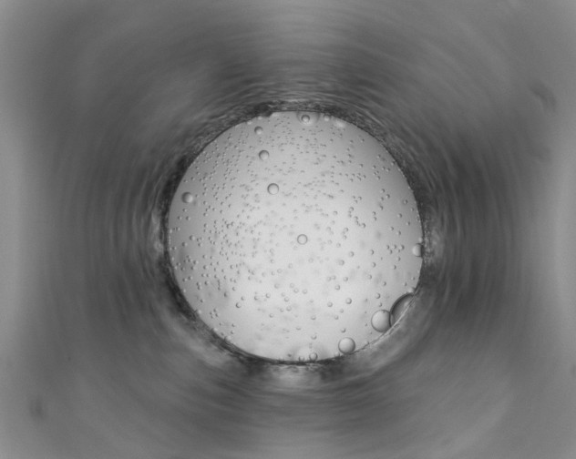 X0000111360187200907101004