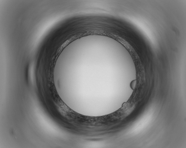 X0000111360189200907101004