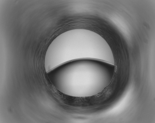 X0000111360190200907101004