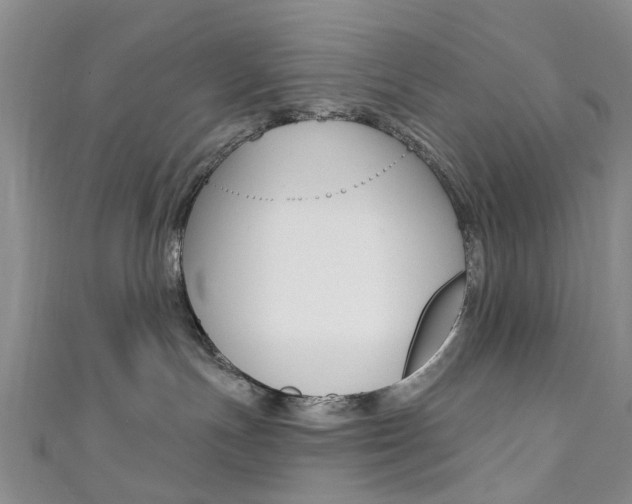 X0000111360191200907101004
