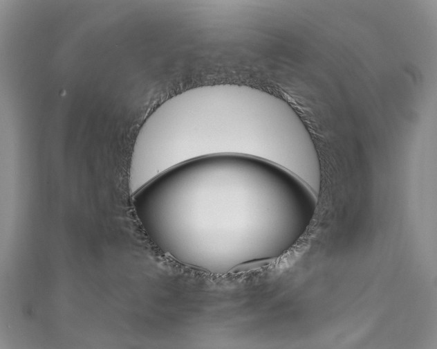X0000111360192200907101004
