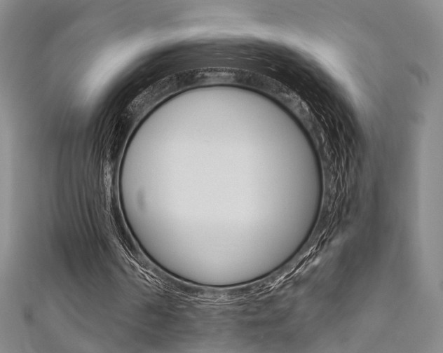 X0000111360194200907101004