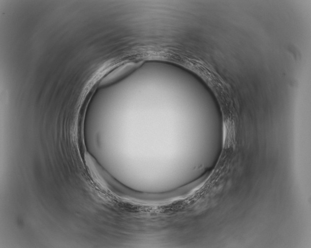 X0000111360195200907101003