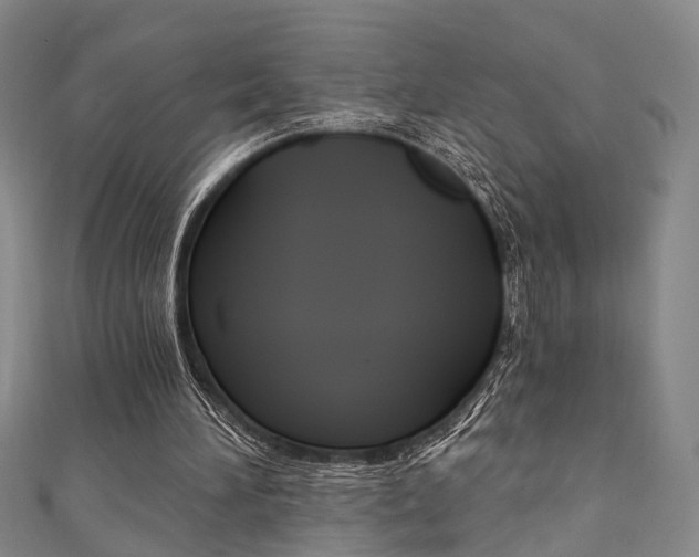 X0000111360196200907101003