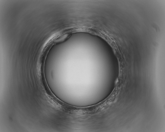 X0000111360197200907101003
