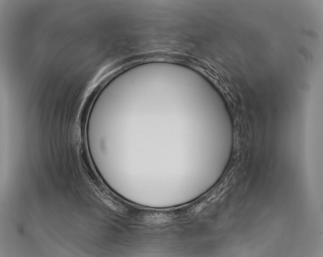 X0000111360198200907101003