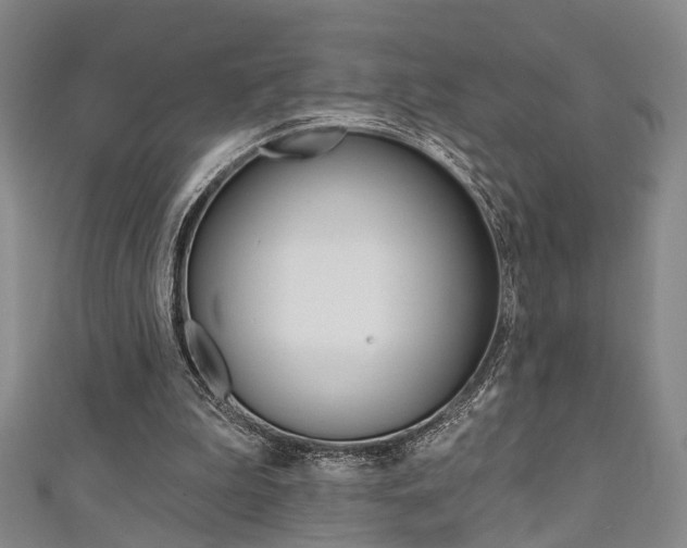 X0000111360199200907101003