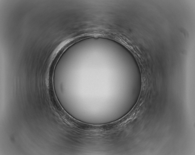X0000111360200200907101003