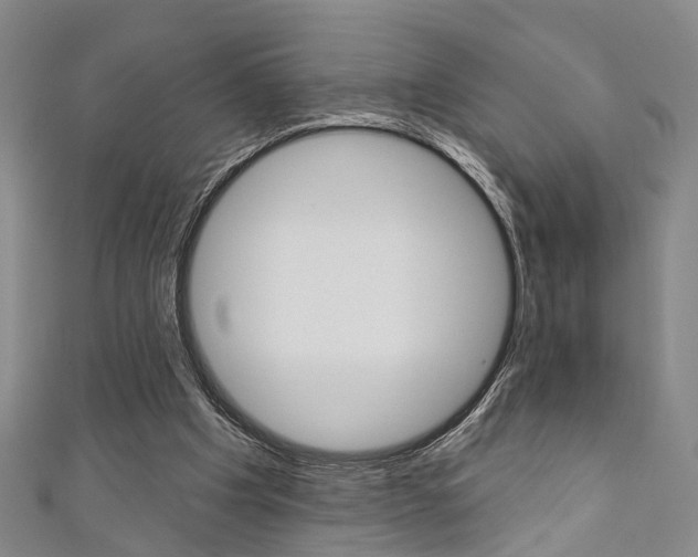 X0000111360201200907101003