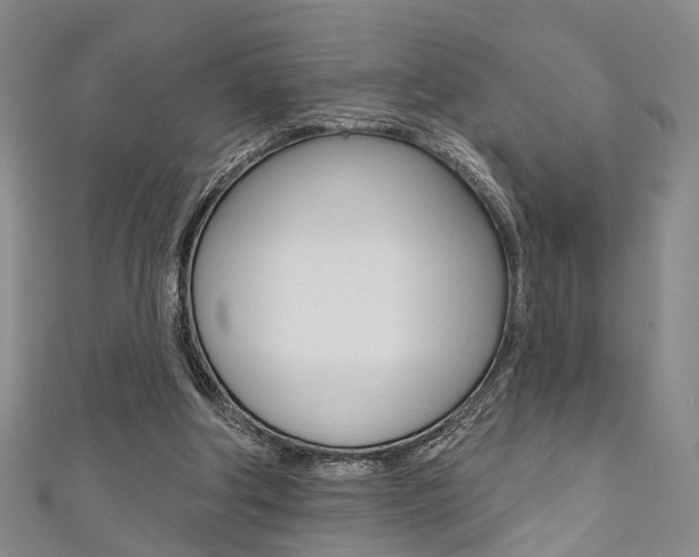 X0000111360202200907101003