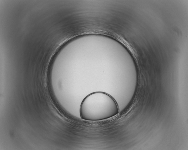X0000111360203200907101003
