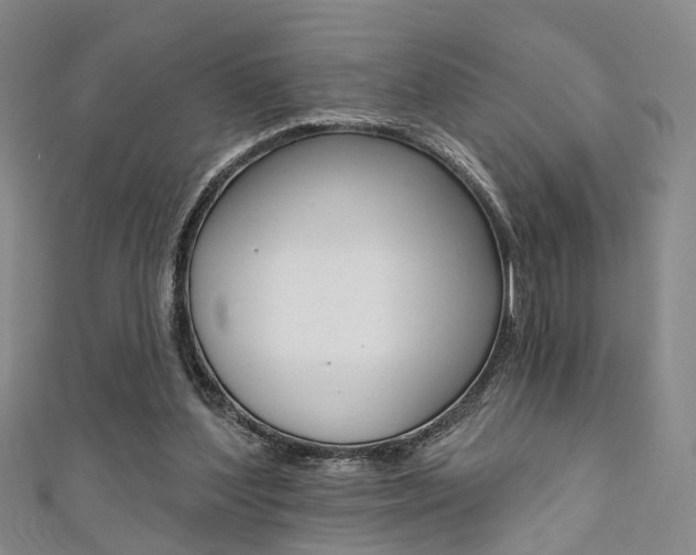 X0000111360204200907101003