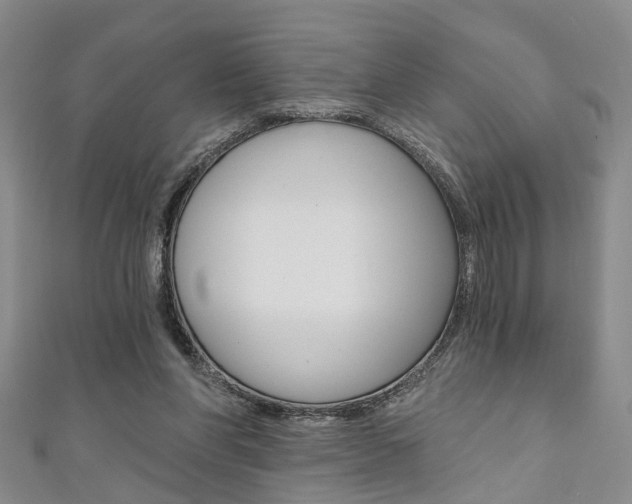 X0000111360206200907101003