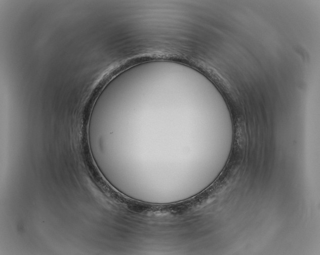 X0000111360208200907101003
