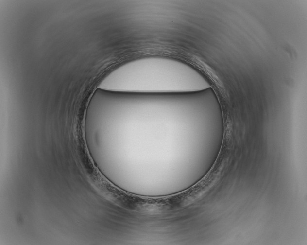 X0000111360209200907101003