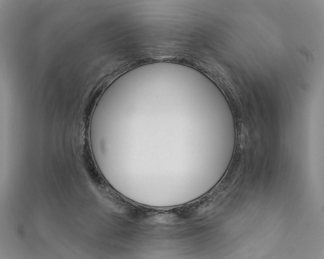 X0000111360210200907101003