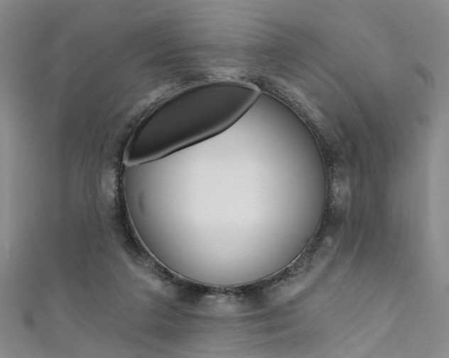 X0000111360211200907101003