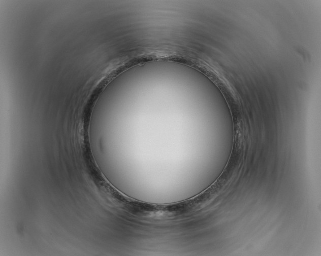 X0000111360212200907101003