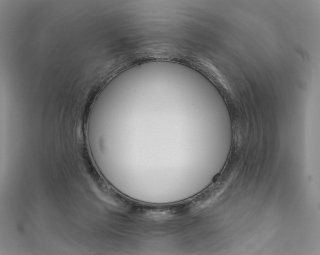 X0000111360213200907101003