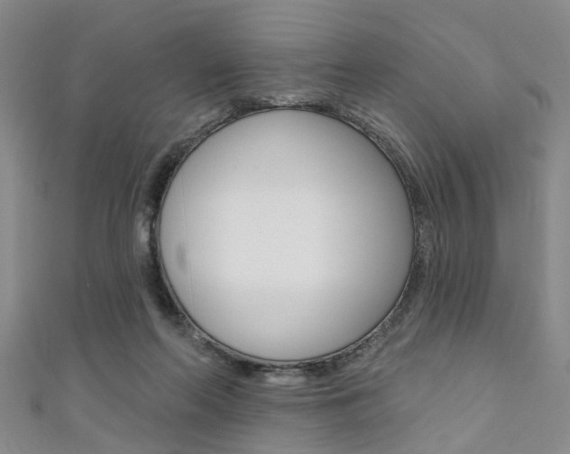X0000111360214200907101003