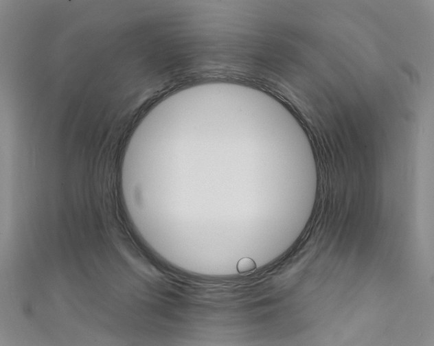 X0000111360215200907101003