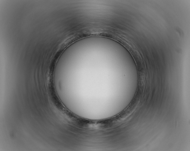 X0000111360216200907101003