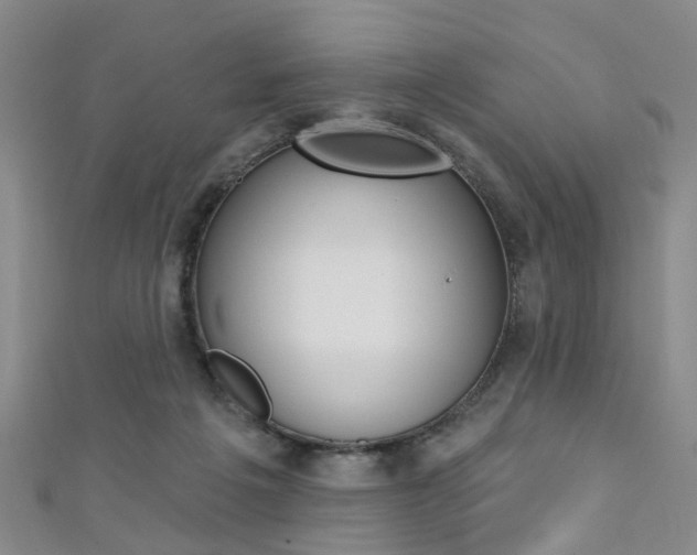 X0000111360217200907101003