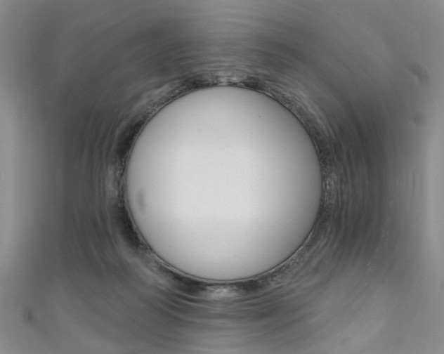 X0000111360218200907101003