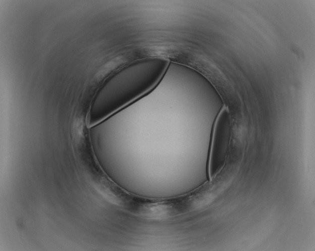 X0000111360219200907101003