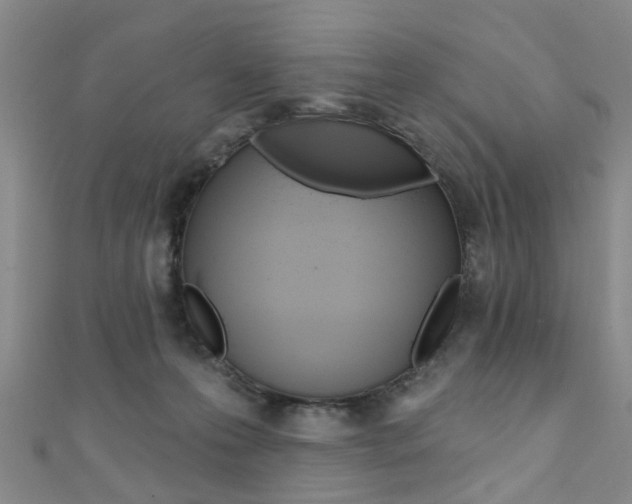 X0000111360223200907101003
