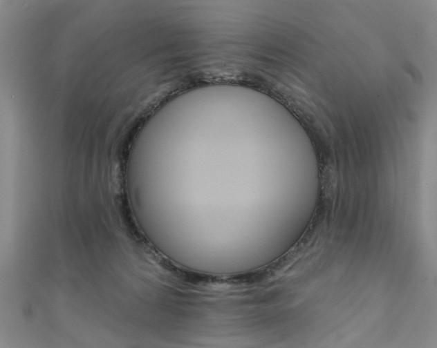 X0000111360224200907101003