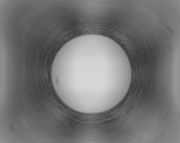 X0000111360225200907101003