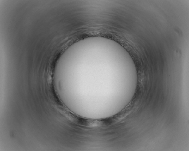 X0000111360226200907101003