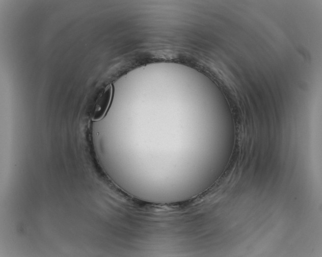 X0000111360229200907101003