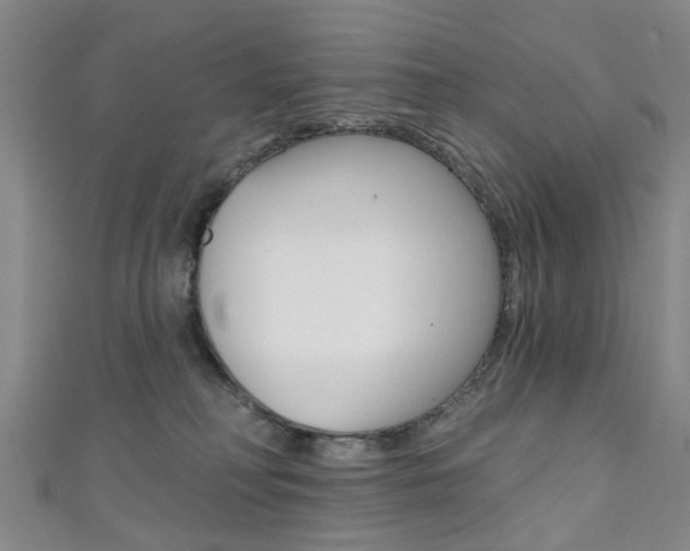 X0000111360230200907101003