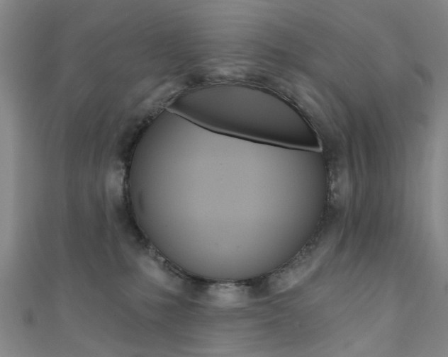 X0000111360231200907101003
